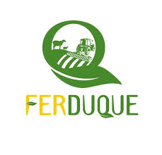 Ferducque