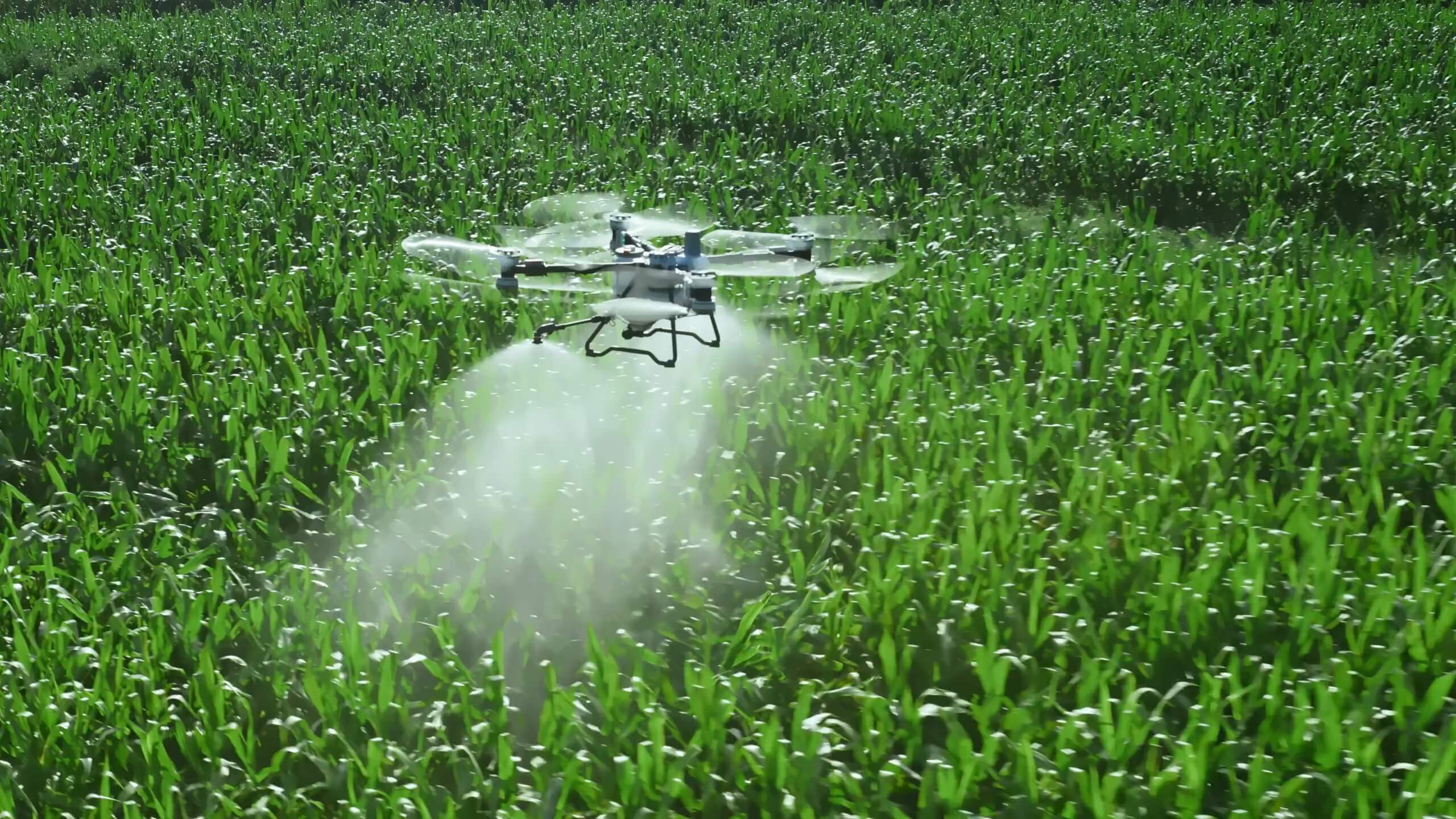 DJI Agras T100 en vuelo