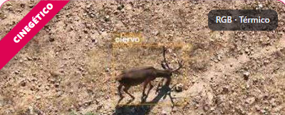 Detección de ciervo