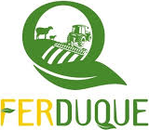 FERDUQUE