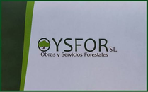 OYSFOR